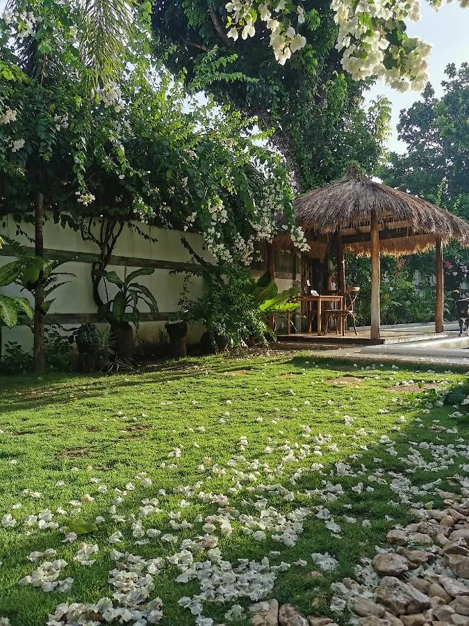 Alisa Garden Boutique Hotel Panglao