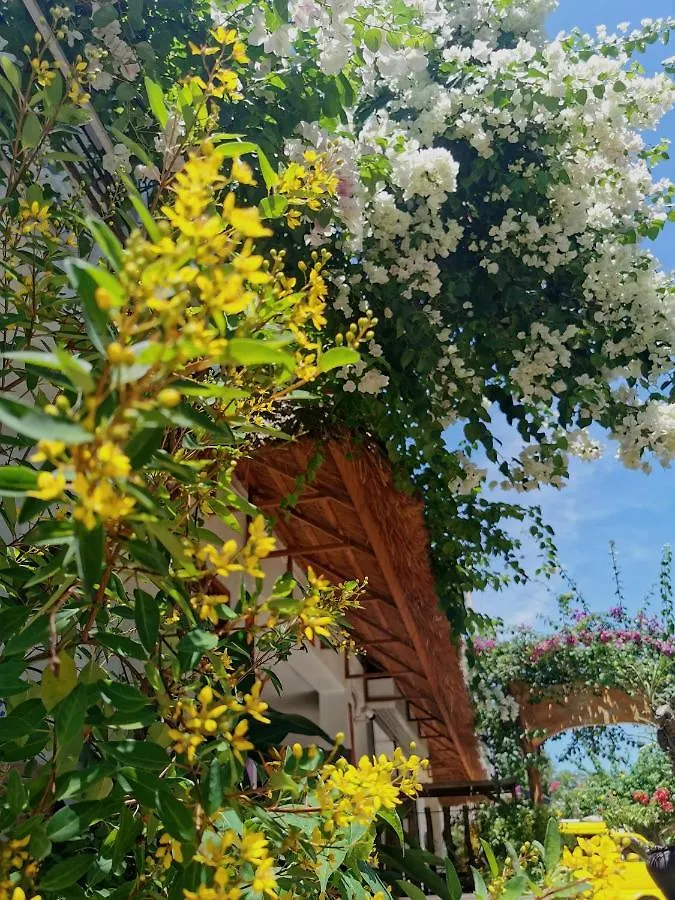 Alisa Garden Boutique Hotel Panglao