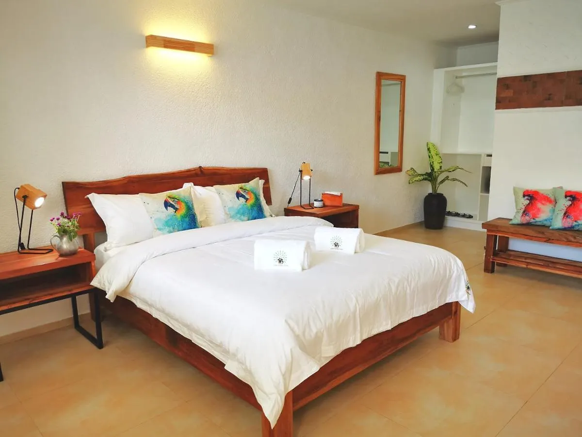 Alisa Garden Boutique Hotel Panglao Philippines