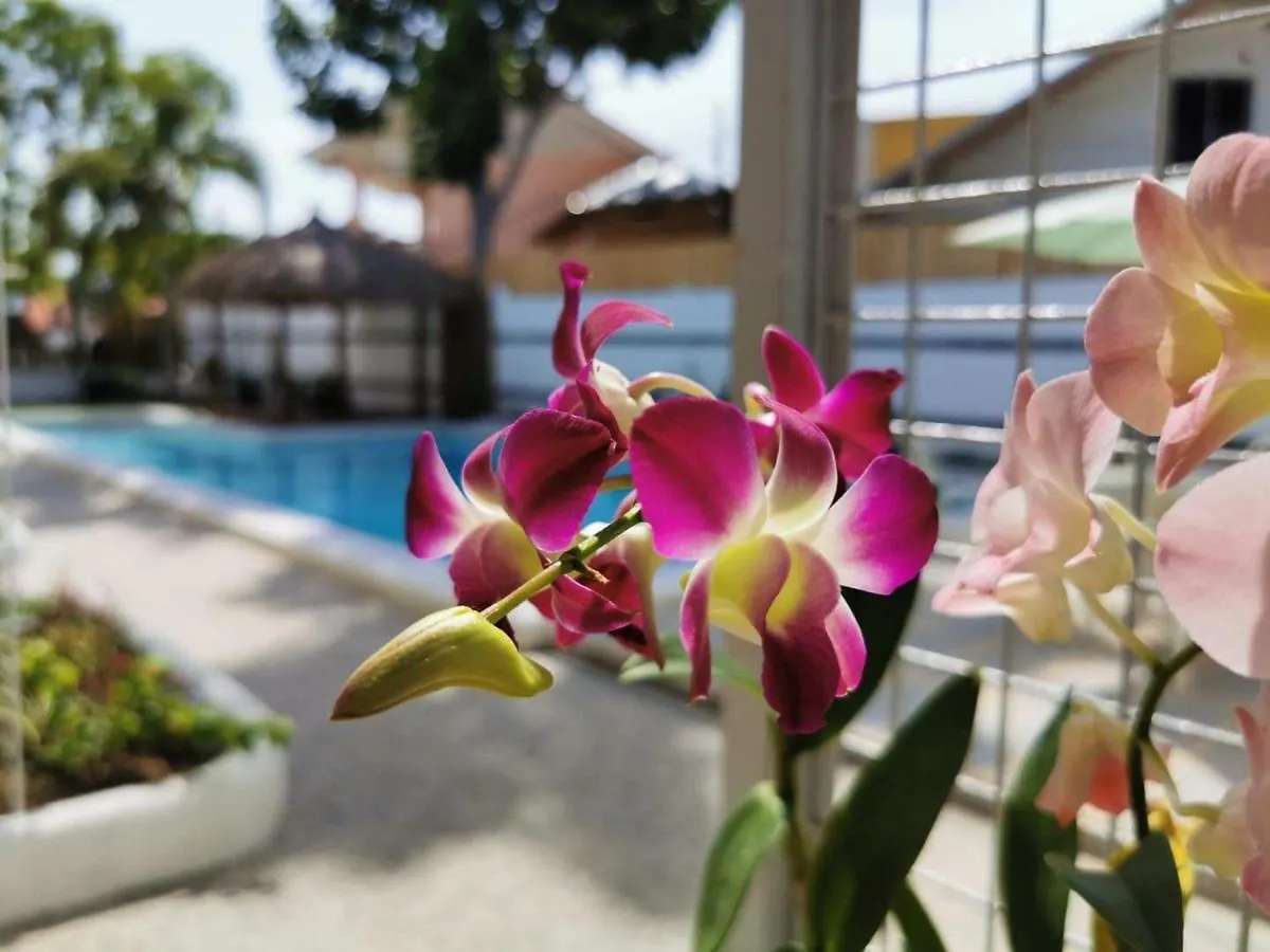 Alisa Garden Boutique Hotel Panglao Philippines