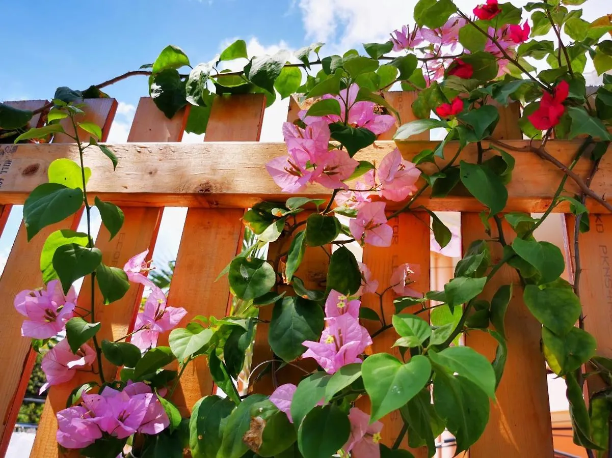Alisa Garden Boutique Hotel Panglao