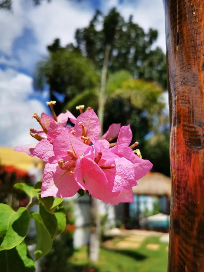 Alisa Garden Boutique Hotel Panglao